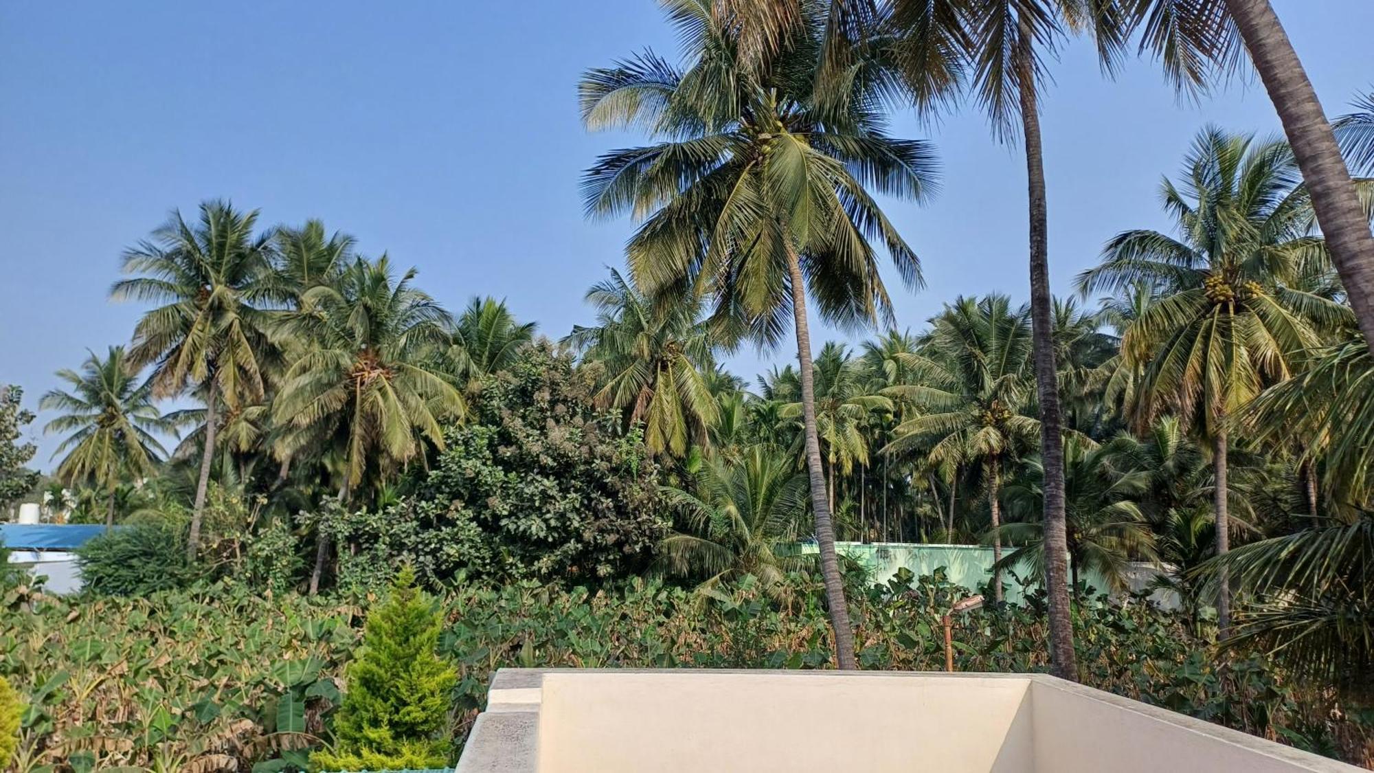 Shi'S Velliangiri 3Bhk Individual Villa Near Isha Adiyogi, Coimbatore Alāndurai エクステリア 写真